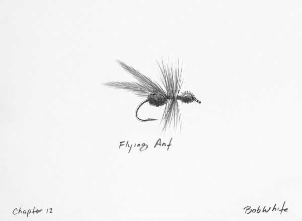 Flying Ant