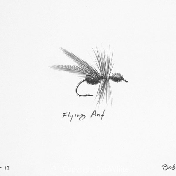 Flying Ant