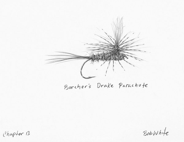 Brocher's Drake Parachute