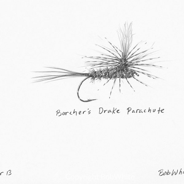 Brocher's Drake Parachute
