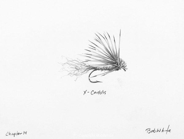 X-Caddis