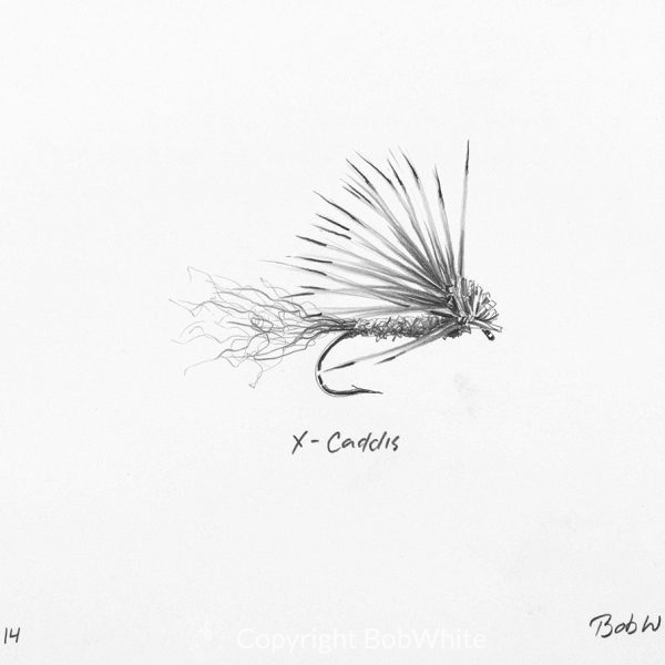 X-Caddis