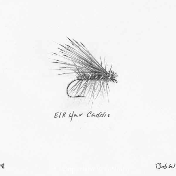 Elk Hair Caddis
