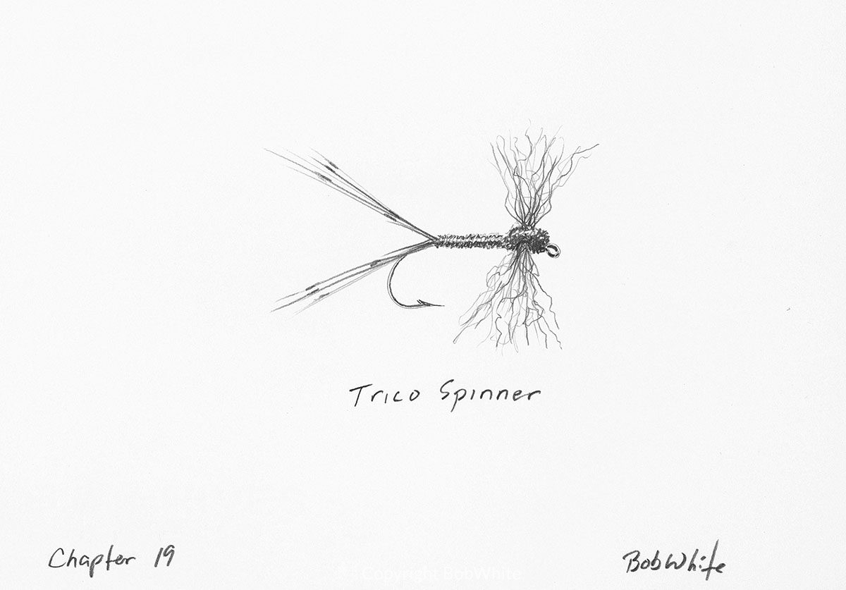 Trico Spinner - BobWhite Studio