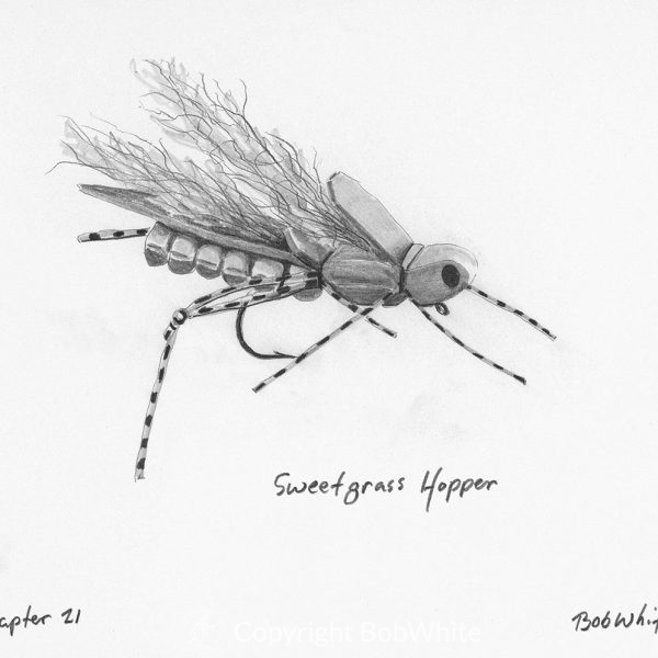 Sweetgrass Hopper