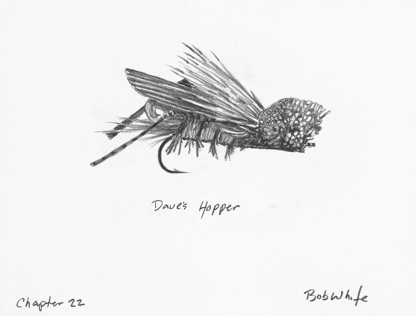 Dave's Hopper