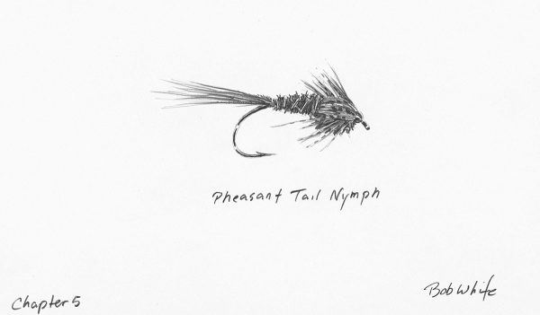Pheasant Tail Nymph