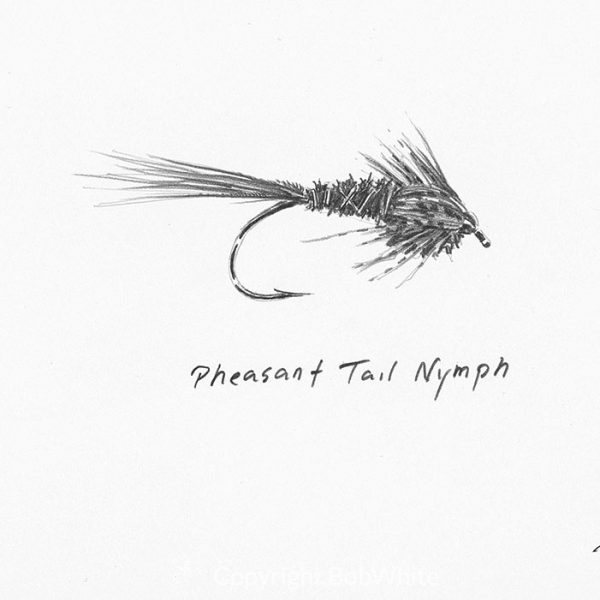 Pheasant Tail Nymph