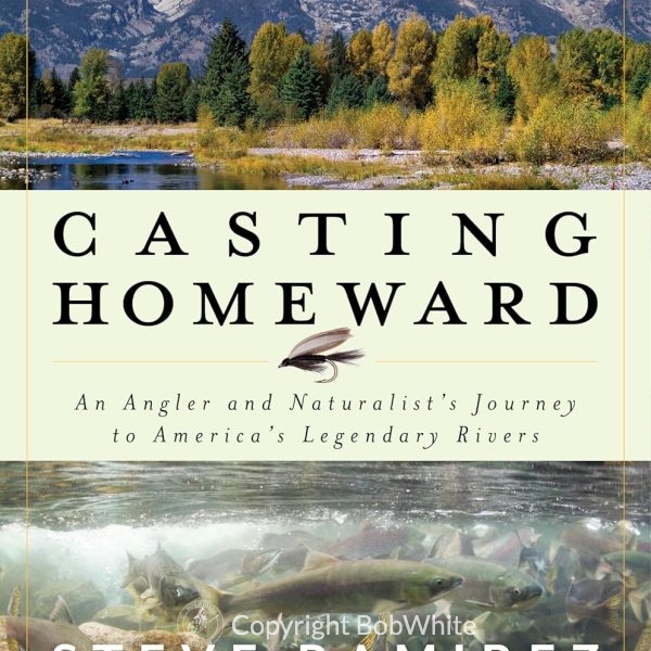 https://www.bobwhitestudio.com/store/wp-content/uploads/2024/01/Casting-Homeward-600x600.jpg