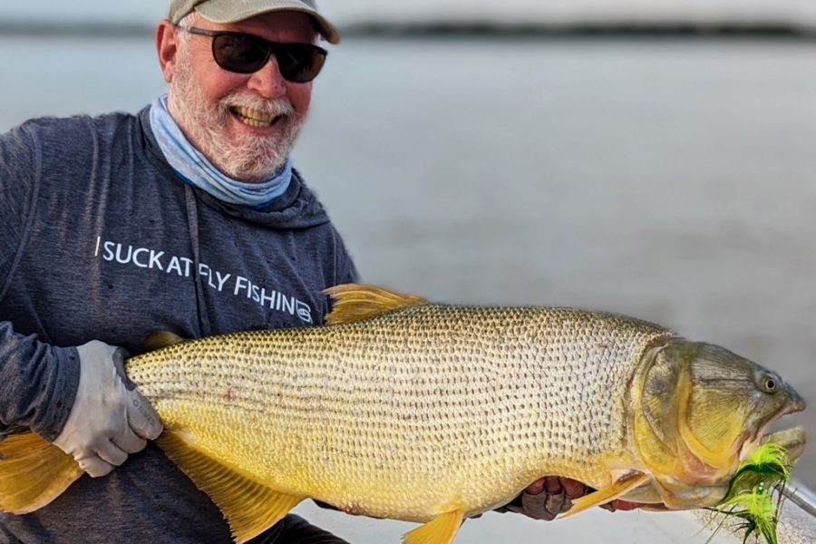 Golden Dorado in Northern Argentina