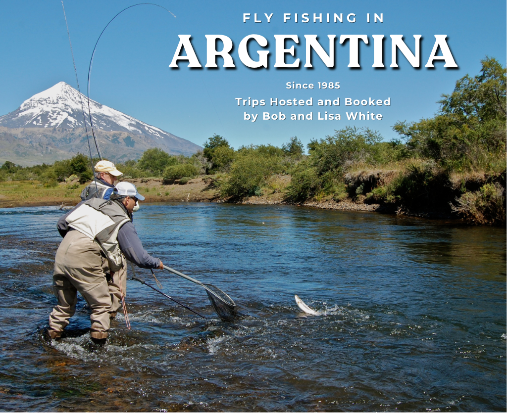 Argentina Trout Fishing
