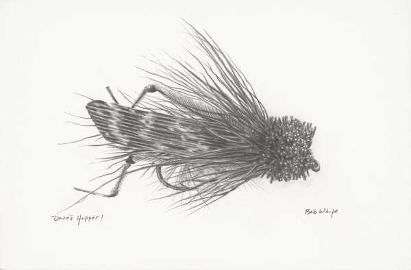 Dave's Hopper Print