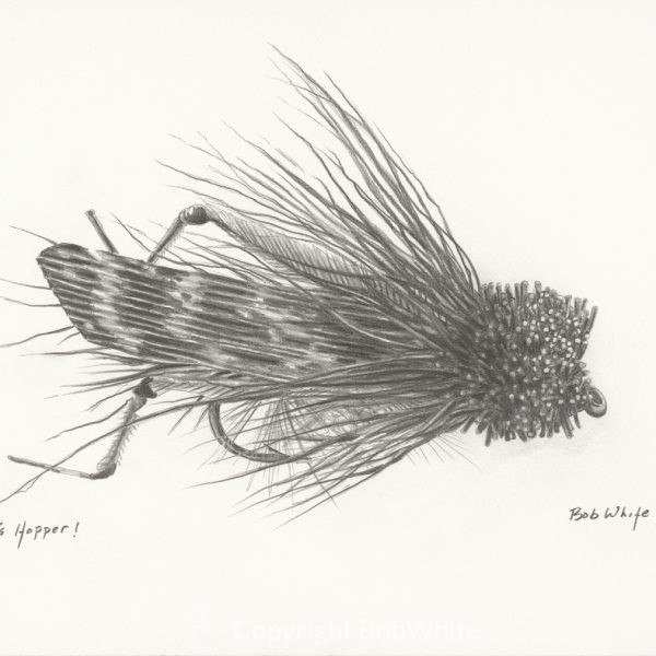 Dave's Hopper Print