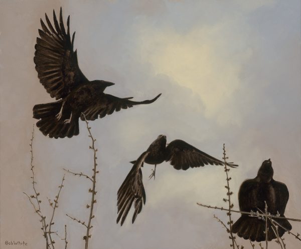 Harbingers