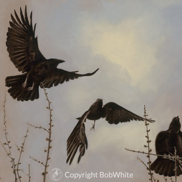 Harbingers