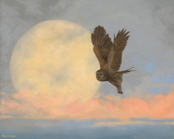Orphan Moon