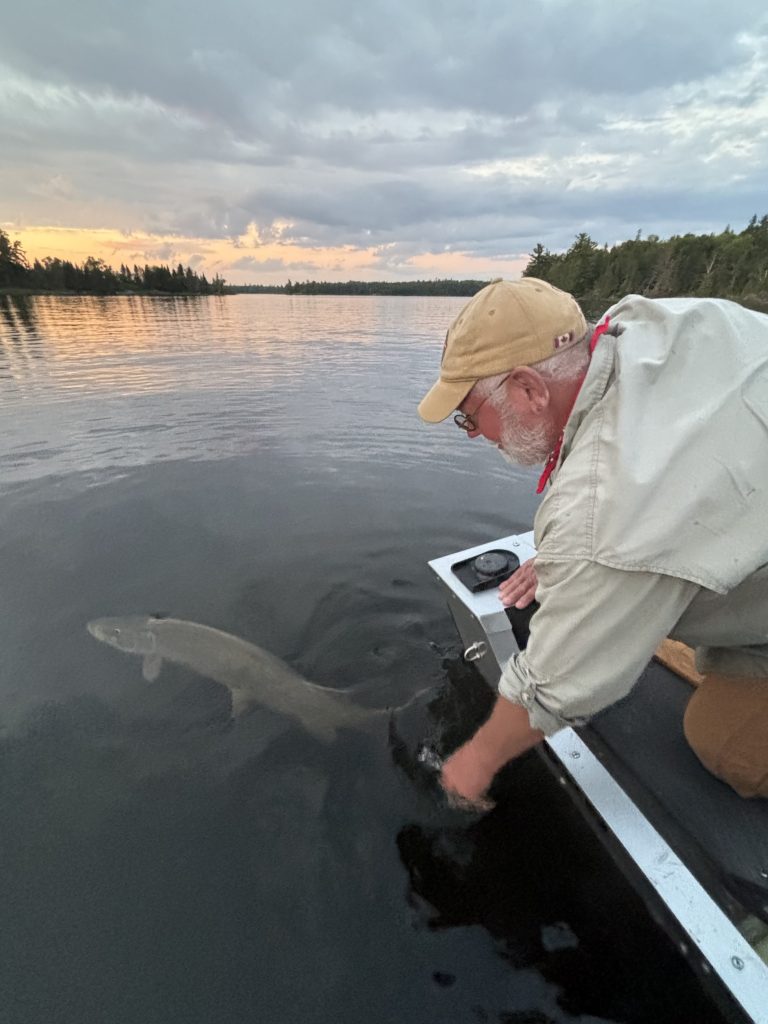 Last Cast Musky Release