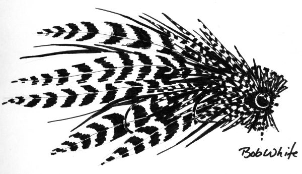 Musky Fly 1