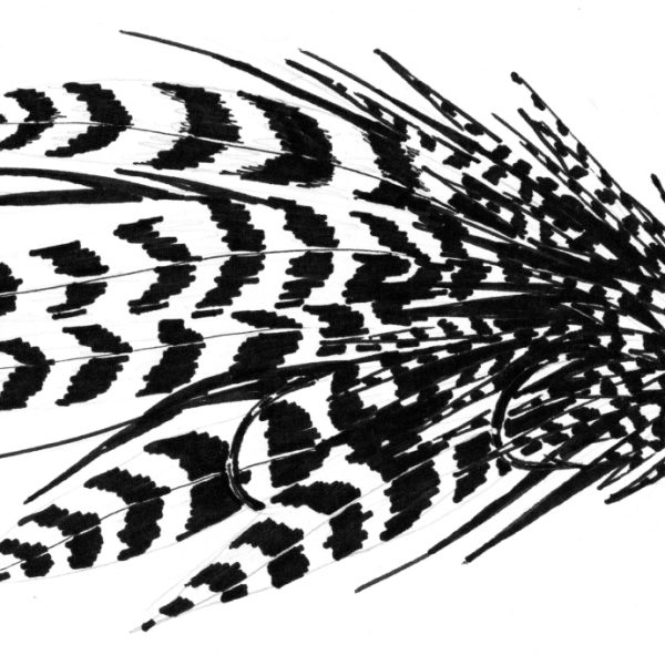 Musky Fly 1