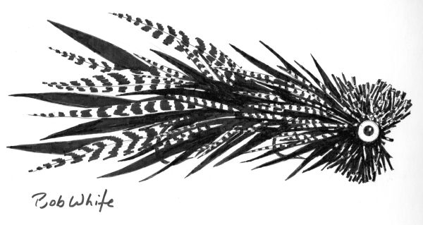 Musky Fly 2