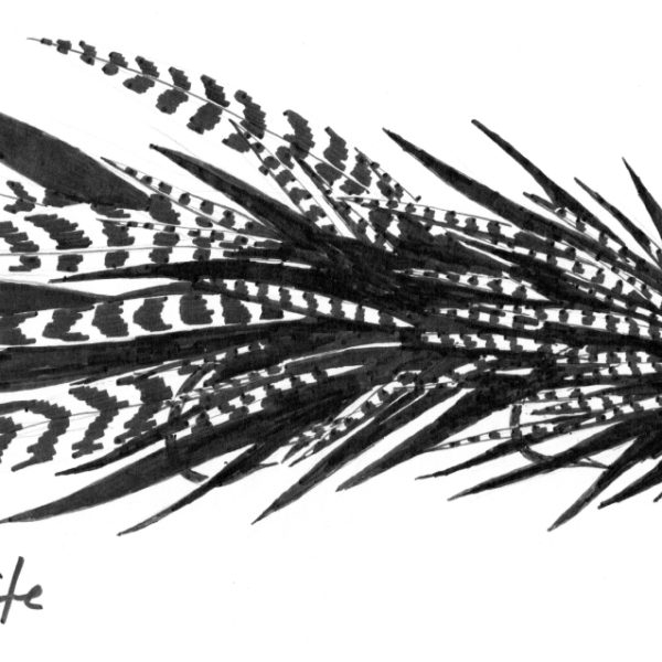 Musky Fly 2