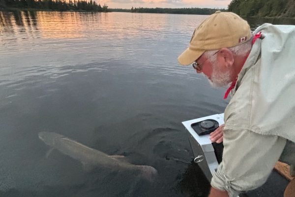 Epic Narrows Musky Camp - 8