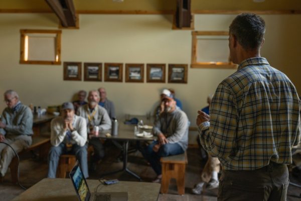 School of Trout - 12