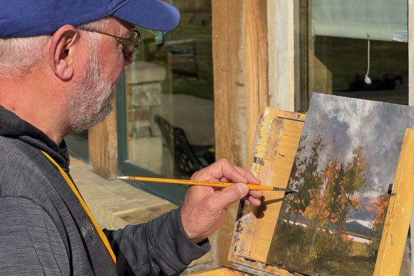 School of Trout - 15