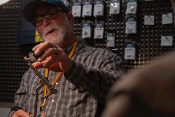 School of Trout - 16