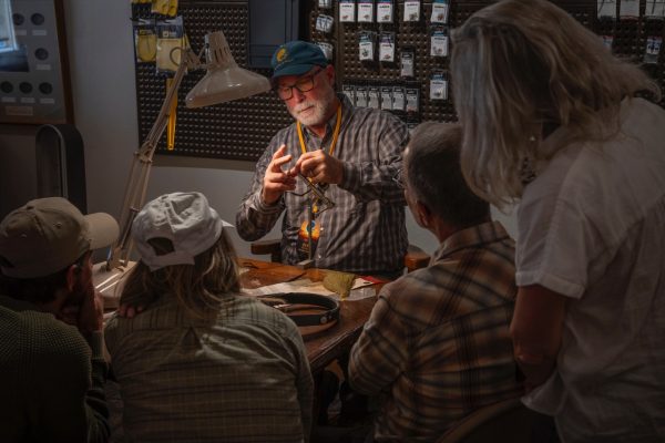 School of Trout - 19