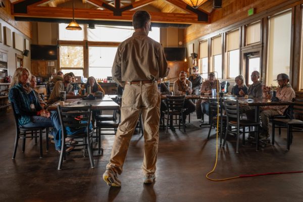 School of Trout - 20