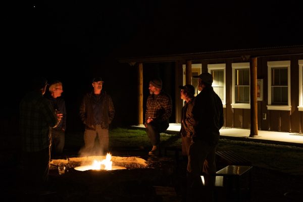 School of Trout - 22