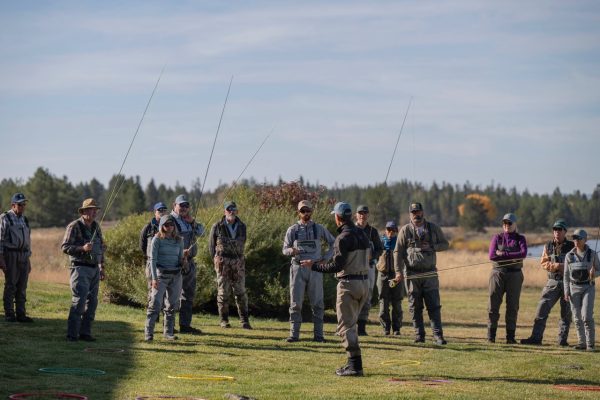 School of Trout - 23